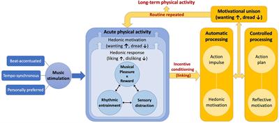 Exploring the use of music to promote physical activity: From the viewpoint of psychological hedonism